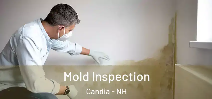  Mold Inspection Candia - NH