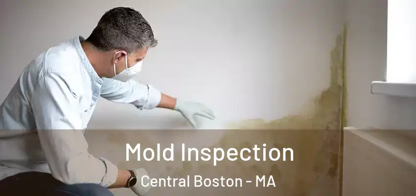 Mold Inspection Central Boston - MA