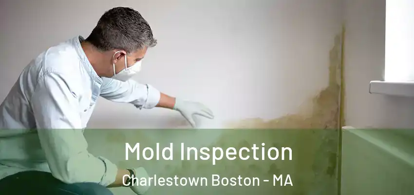  Mold Inspection Charlestown Boston - MA