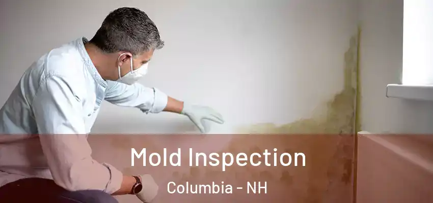 Mold Inspection Columbia - NH