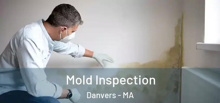  Mold Inspection Danvers - MA