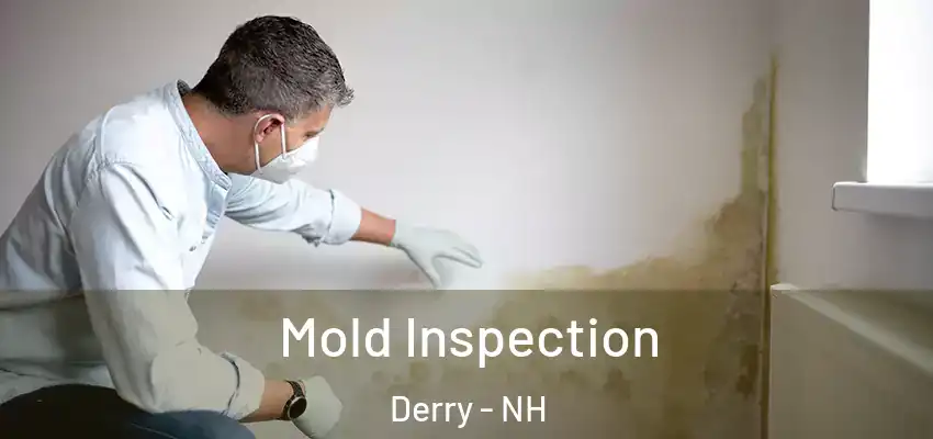  Mold Inspection Derry - NH