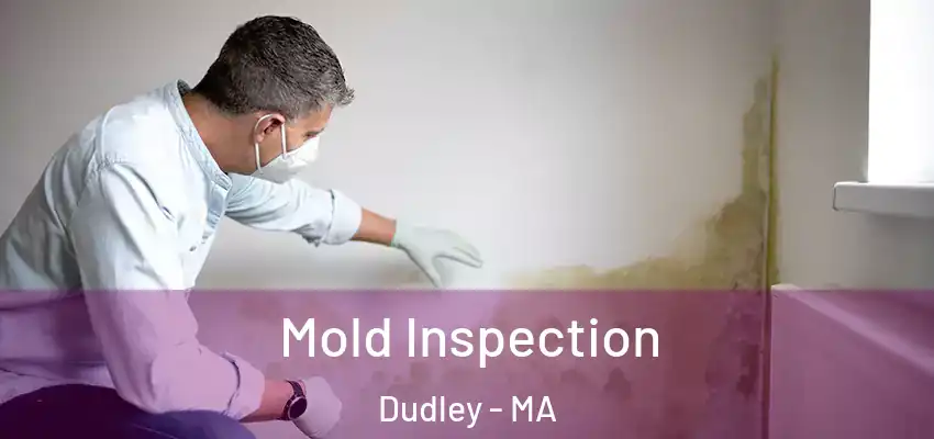 Mold Inspection Dudley - MA