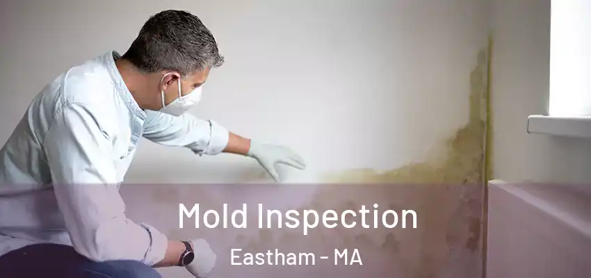  Mold Inspection Eastham - MA