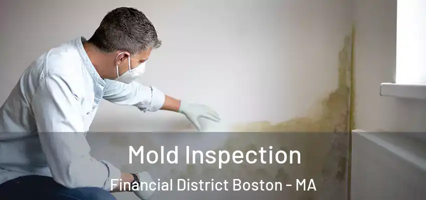  Mold Inspection Financial District Boston - MA