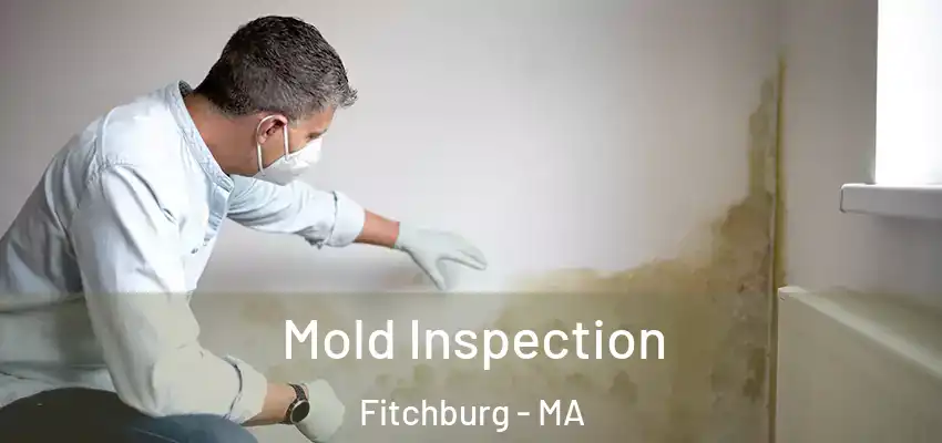 Mold Inspection Fitchburg - MA