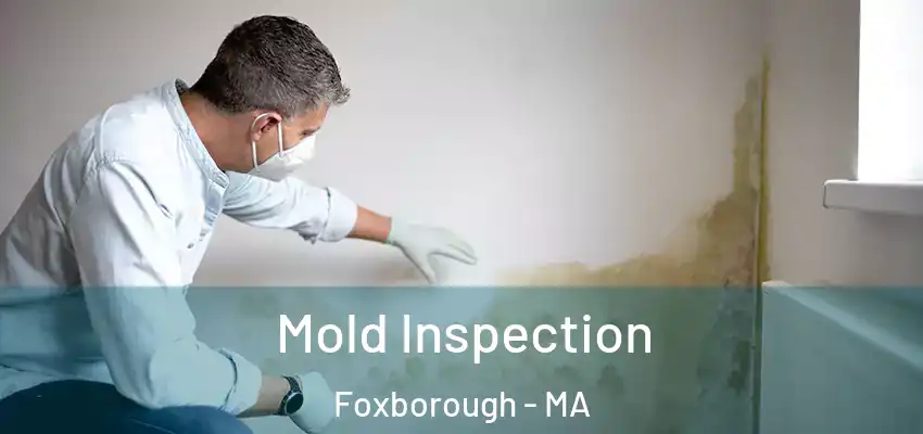 Mold Inspection Foxborough - MA