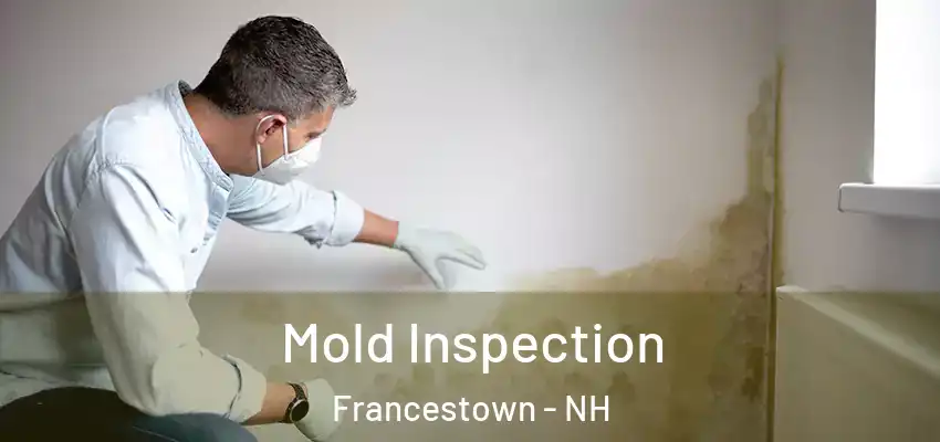 Mold Inspection Francestown - NH