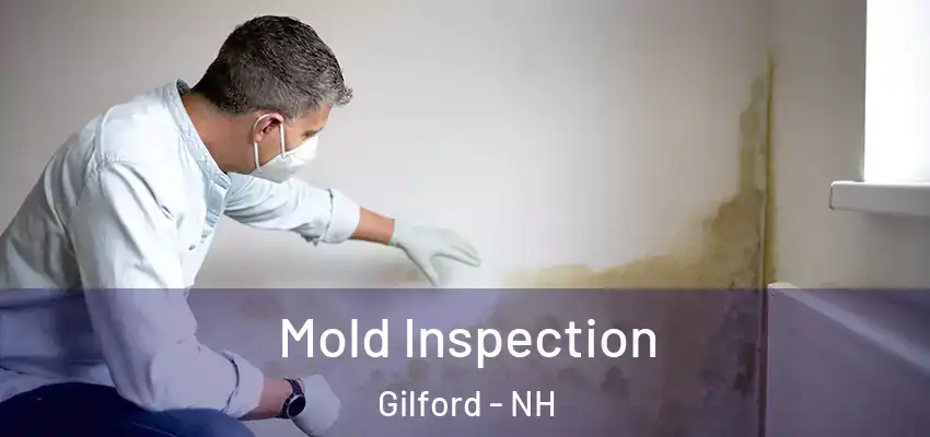 Mold Inspection Gilford - NH