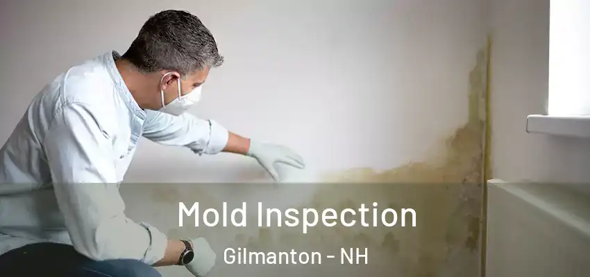 Mold Inspection Gilmanton - NH