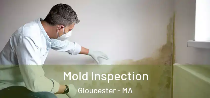  Mold Inspection Gloucester - MA