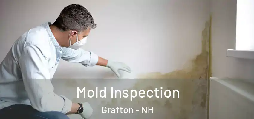 Mold Inspection Grafton - NH