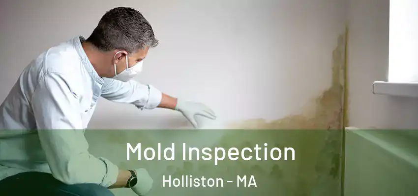  Mold Inspection Holliston - MA