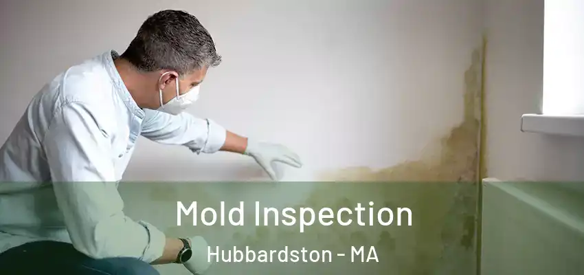  Mold Inspection Hubbardston - MA