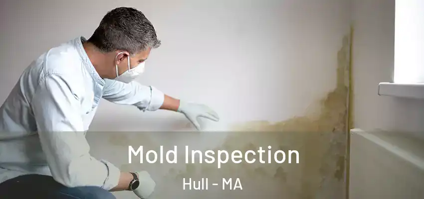 Mold Inspection Hull - MA