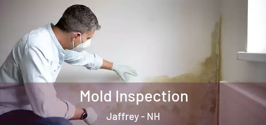 Mold Inspection Jaffrey - NH