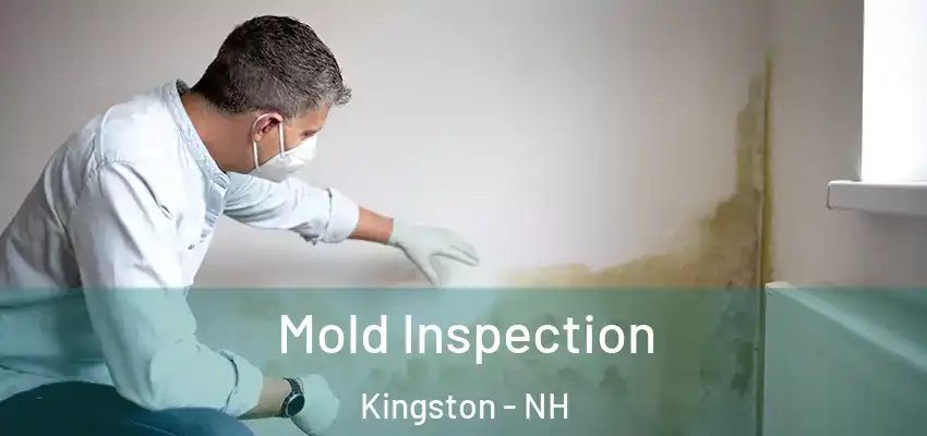  Mold Inspection Kingston - NH