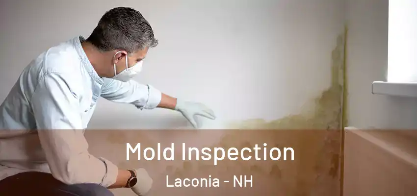 Mold Inspection Laconia - NH