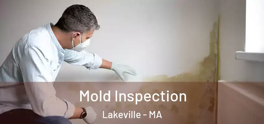  Mold Inspection Lakeville - MA