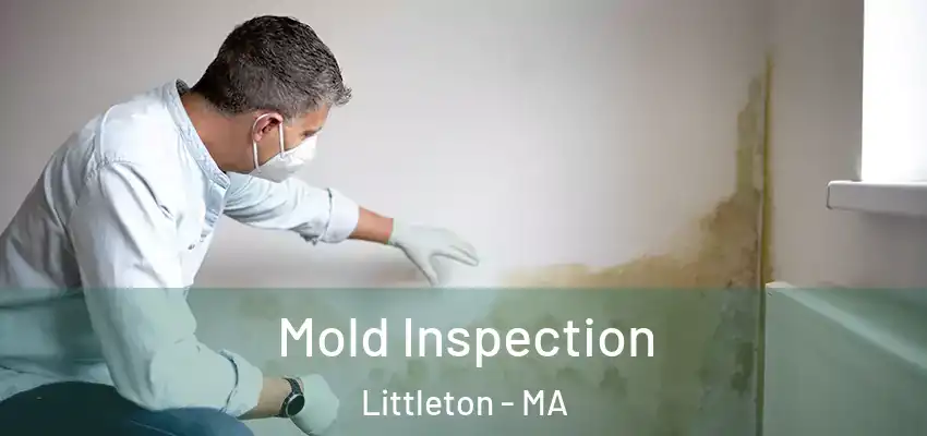  Mold Inspection Littleton - MA