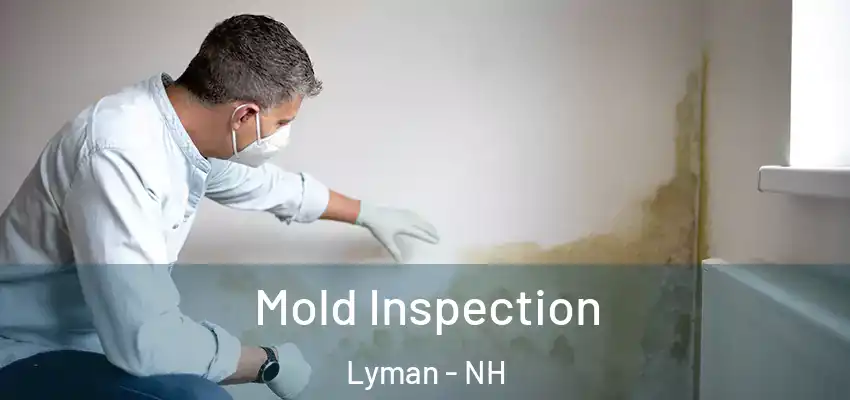 Mold Inspection Lyman - NH