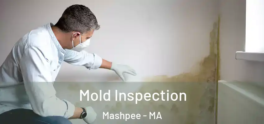 Mold Inspection Mashpee - MA