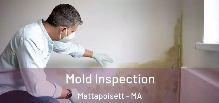  Mold Inspection Mattapoisett - MA