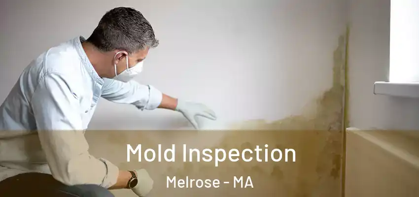  Mold Inspection Melrose - MA