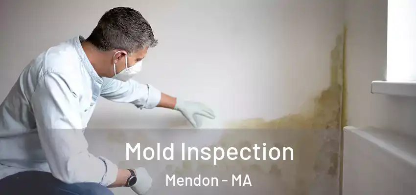 Mold Inspection Mendon - MA