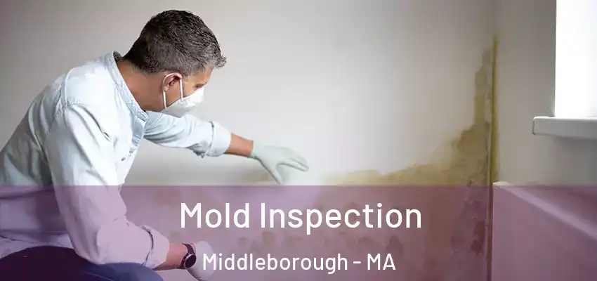  Mold Inspection Middleborough - MA