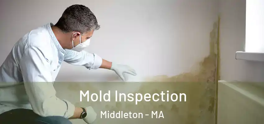  Mold Inspection Middleton - MA