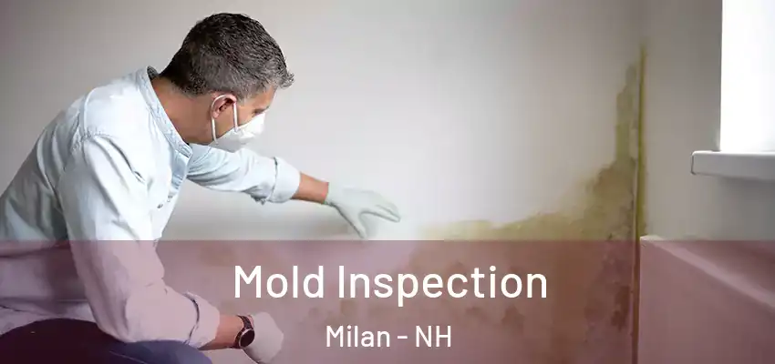  Mold Inspection Milan - NH