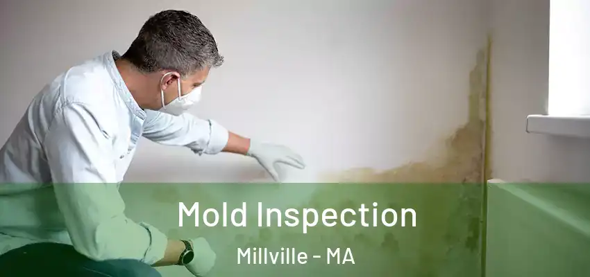  Mold Inspection Millville - MA