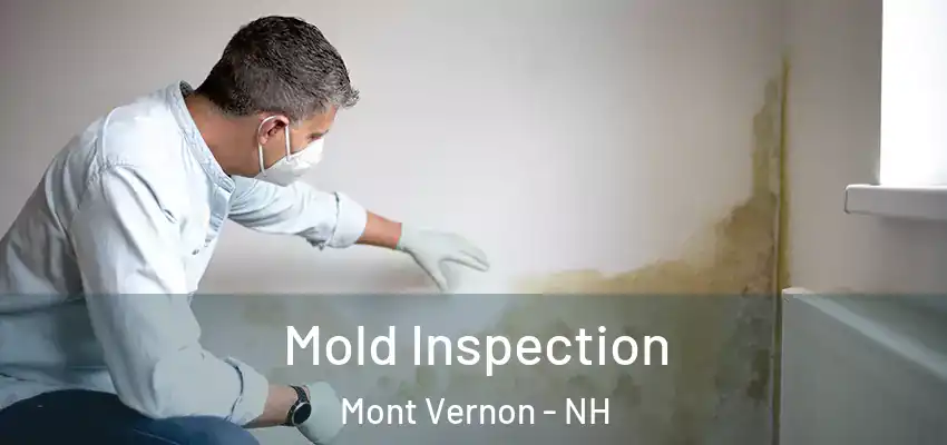 Mold Inspection Mont Vernon - NH