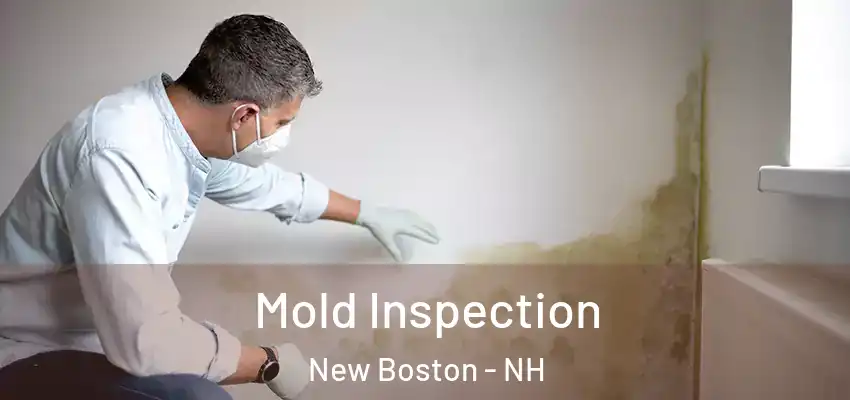Mold Inspection New Boston - NH