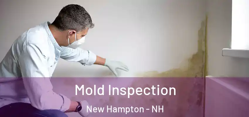 Mold Inspection New Hampton - NH