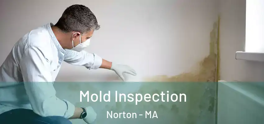  Mold Inspection Norton - MA