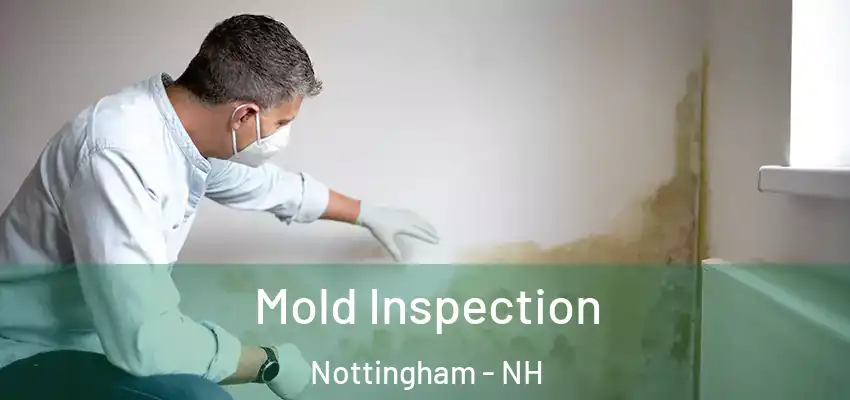  Mold Inspection Nottingham - NH