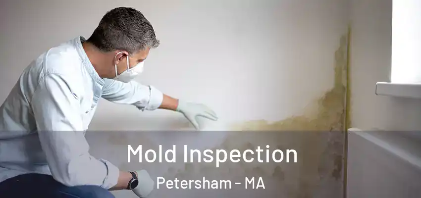 Mold Inspection Petersham - MA
