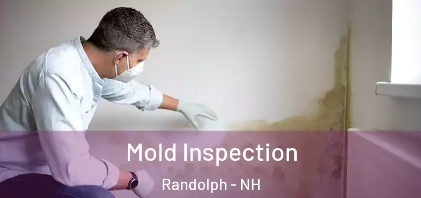 Mold Inspection Randolph - NH