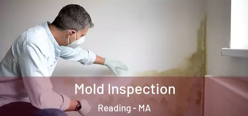  Mold Inspection Reading - MA