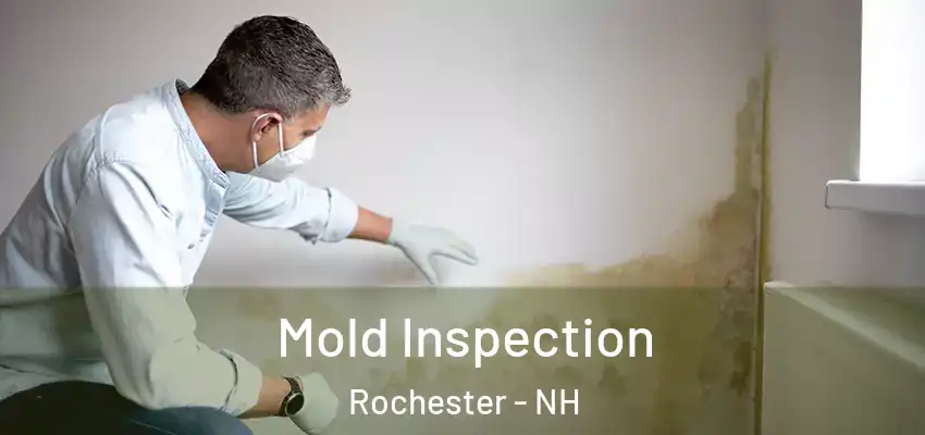 Mold Inspection Rochester - NH