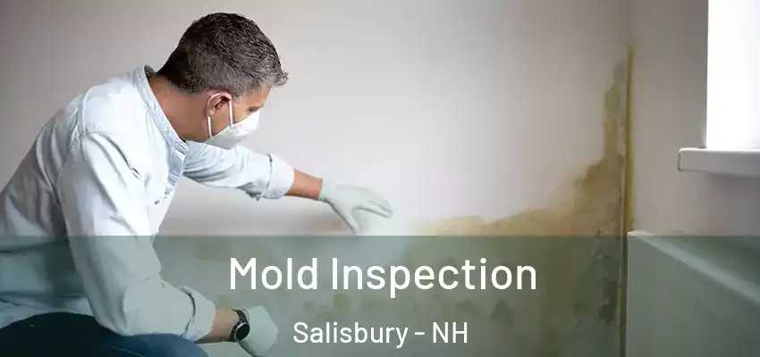 Mold Inspection Salisbury - NH