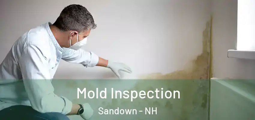 Mold Inspection Sandown - NH