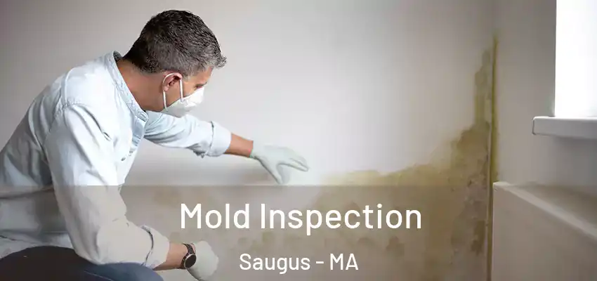  Mold Inspection Saugus - MA