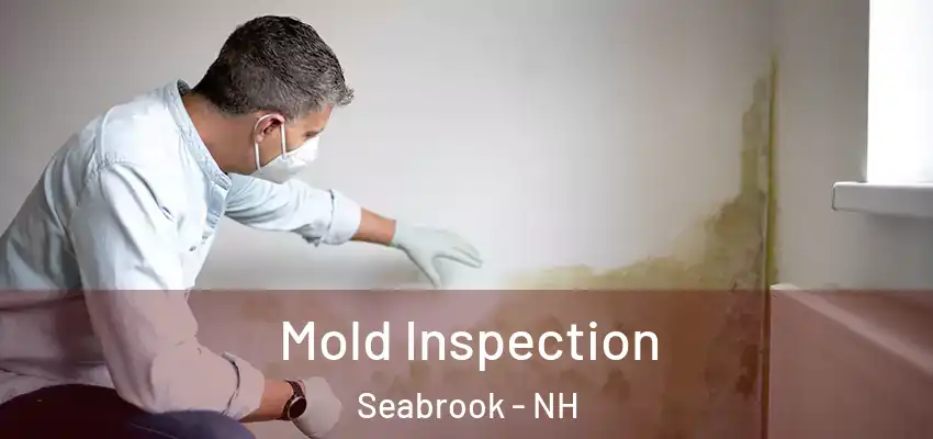  Mold Inspection Seabrook - NH