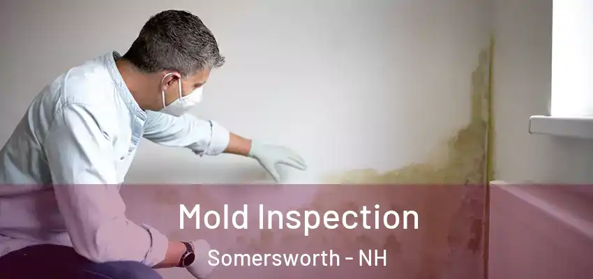  Mold Inspection Somersworth - NH