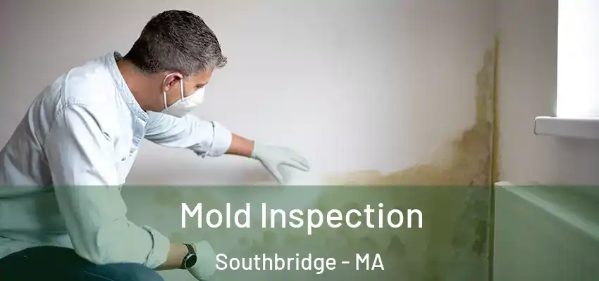 Mold Inspection Southbridge - MA