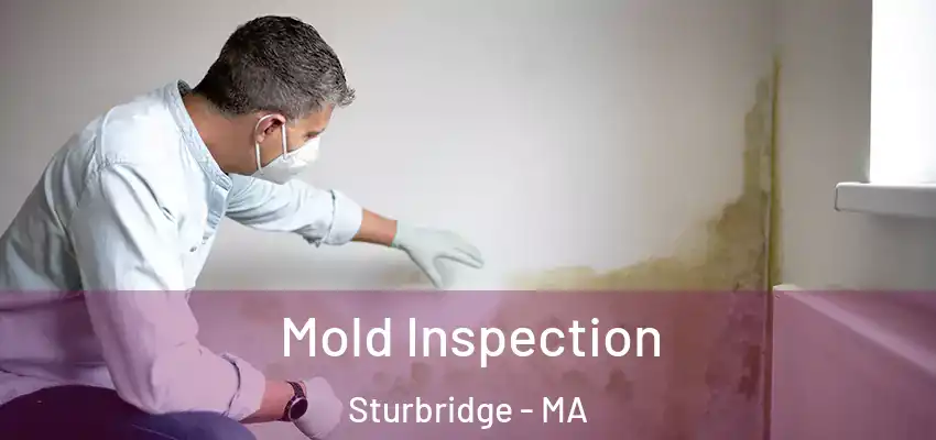  Mold Inspection Sturbridge - MA