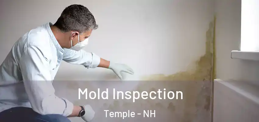  Mold Inspection Temple - NH